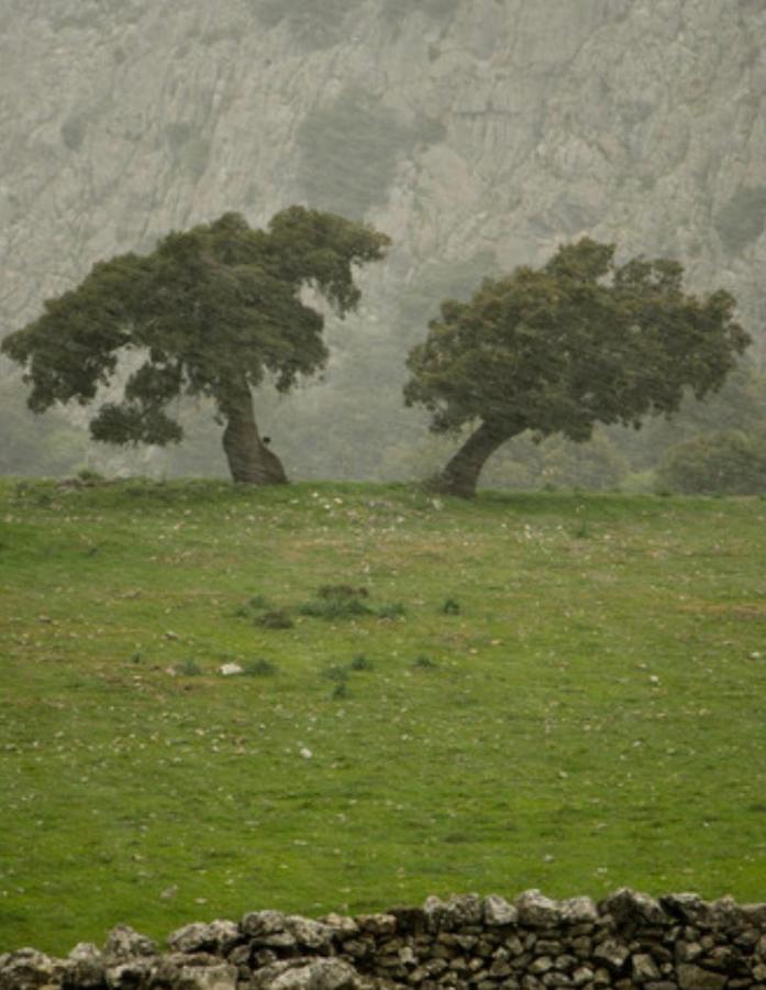 מונטחאקה Hotel Rural Palacete De Manara מראה חיצוני תמונה