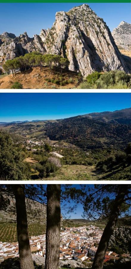 מונטחאקה Hotel Rural Palacete De Manara מראה חיצוני תמונה